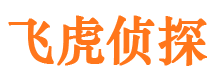 龙游侦探